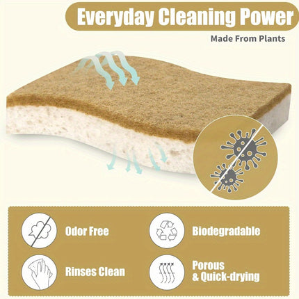 Lot de 10 éponges naturelles et durables