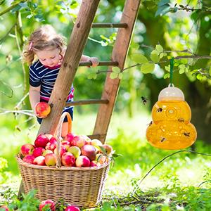 BoloShine - Lot de 2 pièges à guêpes - E-menage