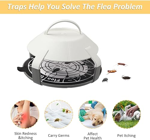 Lot de 2 pièges à puces pour la maison - E-menage