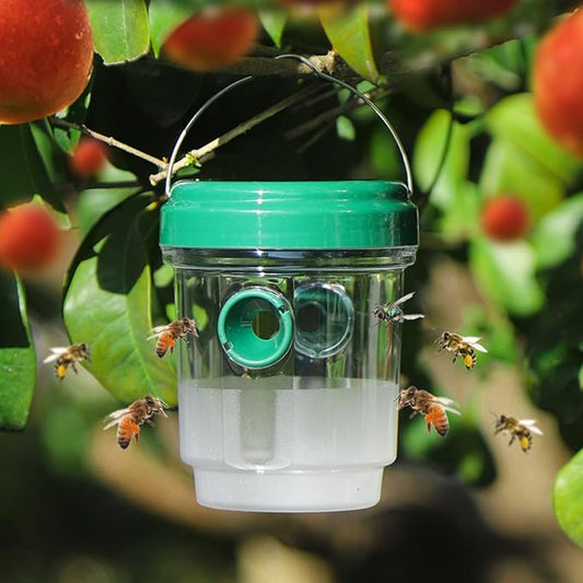 Pièges à guêpes et frelons , géants asiatiques - E-menage