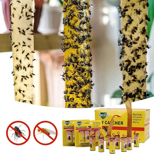 LYPER - Lot de 8 pièges à mouches adhésifs - E-menage