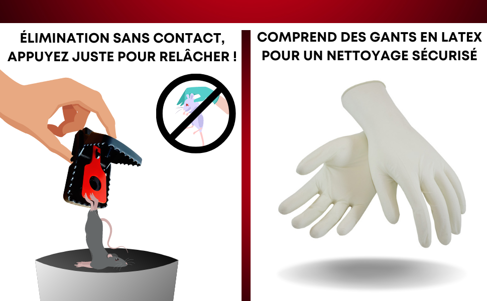 GIVERNY - Boîte de 6Piège à Rat & Souris - E-menage