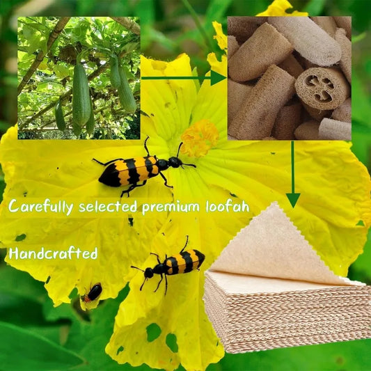 10 pcs Natural Loofah Cellulose Dishcloths for Kitchen Reusable Compostable Loofah Cellulose Cleaning Cloth Dish Cloths Towels
