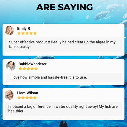 Nettoyant pour eau d’aquarium – 100 ml | Clarifiant puissant anti-algues | Purificateur d’eau pour poissons – Élimine boues, taches et impuretés | Agent d’entretien écologique pour aquarium propre