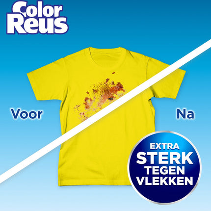 Color Reus Gel - Lessive Liquide - Linge Coloré - Vrac - 100 Lavages - E-menage