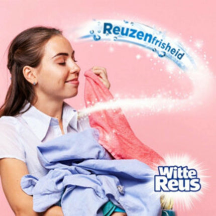 Color Reus Gel - Lessive Liquide - Linge Coloré - Vrac - 100 Lavages - E-menage