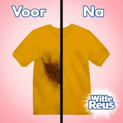 Color Reus Gel - Lessive Liquide - Linge Coloré - Vrac - 100 Lavages - E-menage