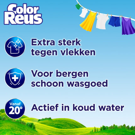 Color Reus Gel - Lessive Liquide - Linge Coloré - Vrac - 100 Lavages - E-menage