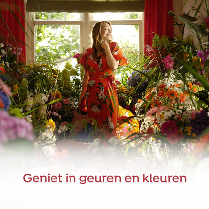 Détergent liquide Robijn Klein & Powerful Black Velvet - Pack de 2 - E-menage