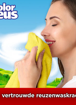 Color Reus Gel - Lessive Liquide - Linge Coloré - Vrac - 100 Lavages - E-menage