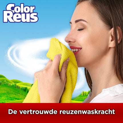 Color Reus Gel - Lessive Liquide - Linge Coloré - Vrac - 100 Lavages - E-menage