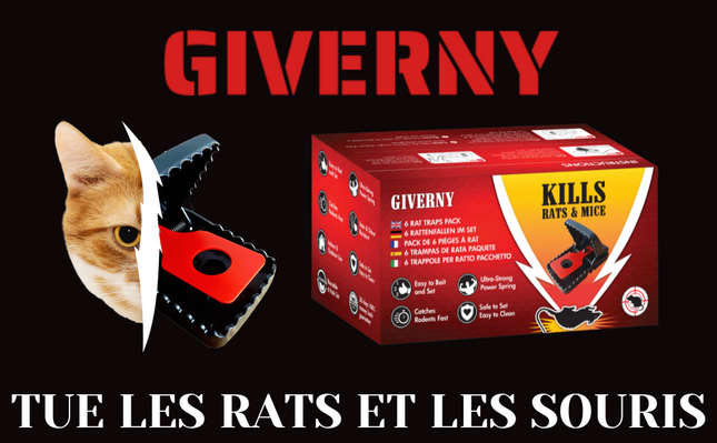 GIVERNY - Boîte de 6Piège à Rat & Souris