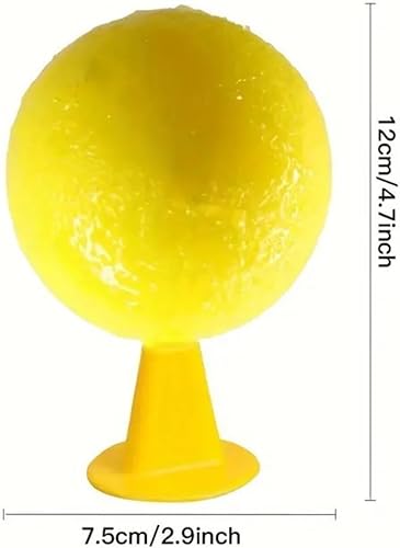 Ataoyus - Lot de 8 pièges à Mouches de Fruits - E-menage