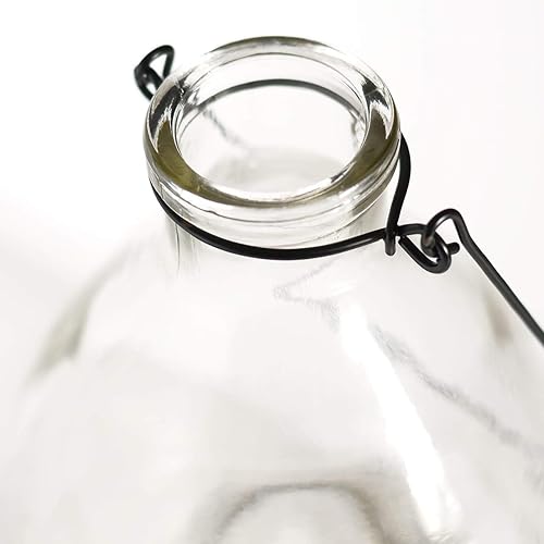 CKB LTD - Lot de 2 pièges à guêpes en verre avec cintre en métal - E-menage