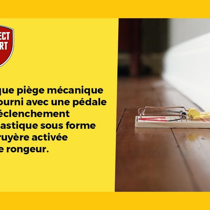 Piège à Souris  SOUTAP2
