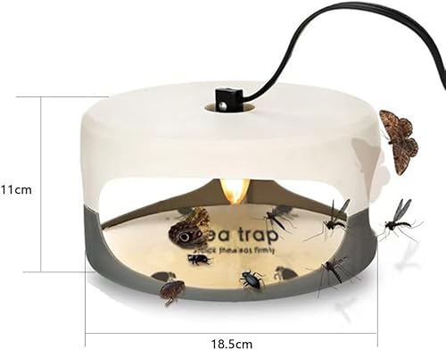 Teppic - Lot de 2 pièges à puces pour appartement - E-menage