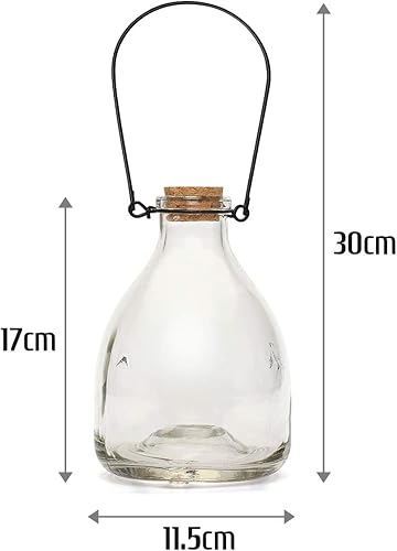 CKB LTD - Lot de 2 pièges à guêpes en verre avec cintre en métal - E-menage