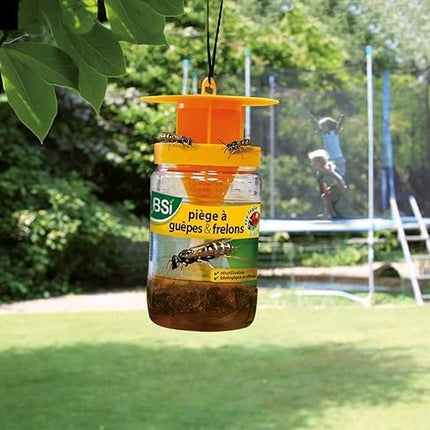 Piège efficace pour guêpes et frelons