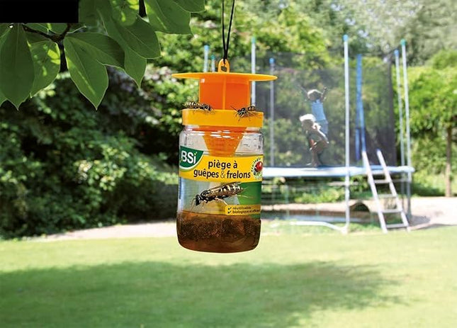Piège efficace pour guêpes et frelons
