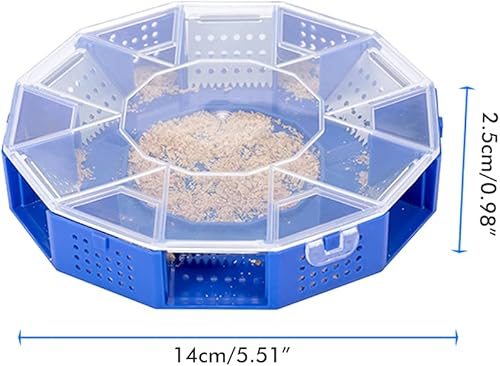 Piège à cafards - E-menage