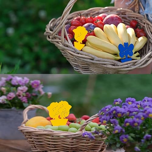 Lot de 48 pièges adhésif sans insecticide - E-menage