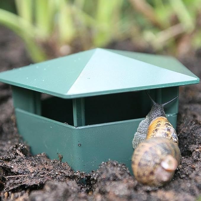 Lot de 6 pièges à limaces - E-menage