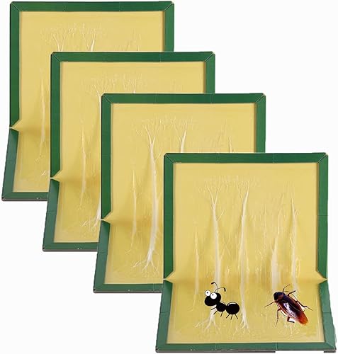 pafnisoin - kit de 4 Pièges à Souris et rats 17 x 24 cm - E-menage