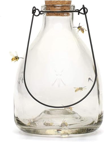 CKB LTD - Lot de 2 pièges à guêpes en verre avec cintre en métal - E-menage