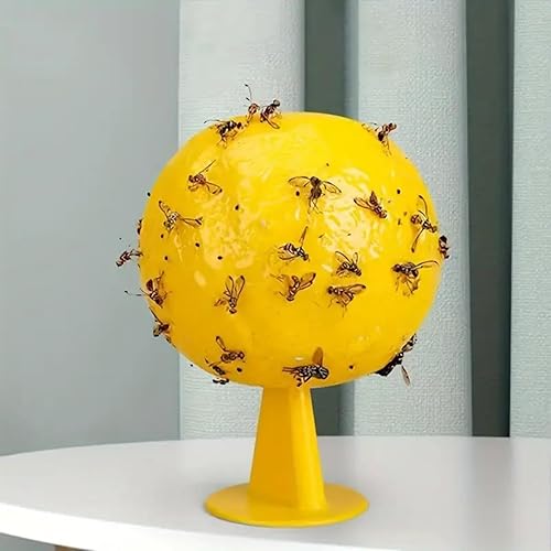 Ataoyus - Lot de 8 pièges à Mouches de Fruits - E-menage