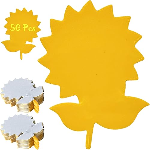 Lot de 50 pièges autocollants - E-menage