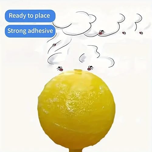 Ataoyus - Lot de 8 pièges à Mouches de Fruits - E-menage