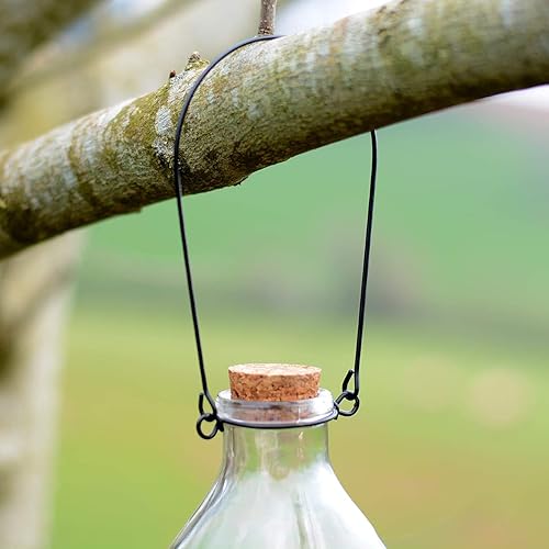 CKB LTD - Lot de 2 pièges à guêpes en verre avec cintre en métal - E-menage