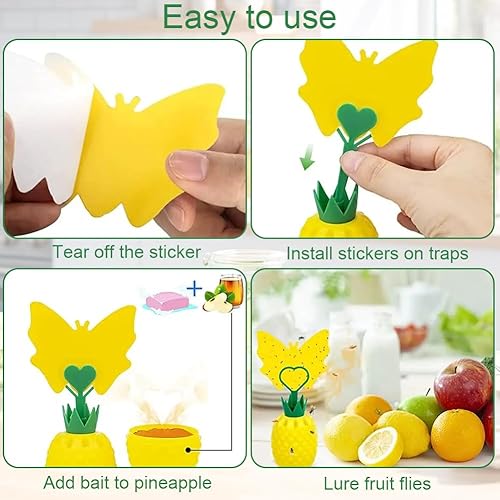 Lot de 2 pièges à mouches à fruits - E-menage