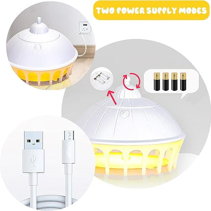 Lot de 2 pièges à punaises de lit - E-menage