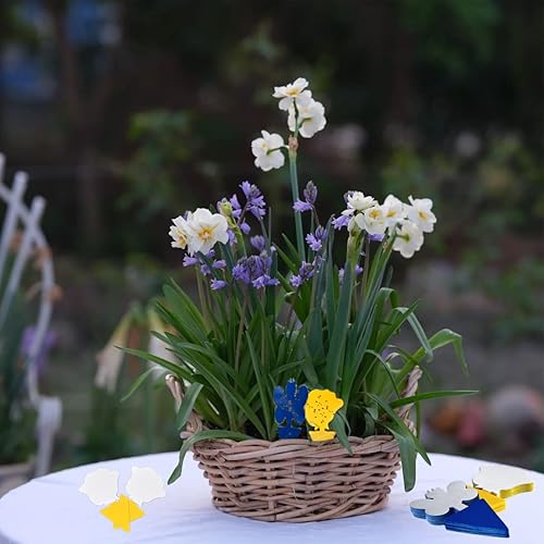 Lot de 48 pièges adhésif sans insecticide - E-menage