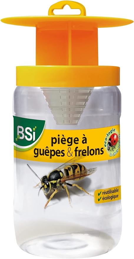 Piège efficace pour guêpes et frelons