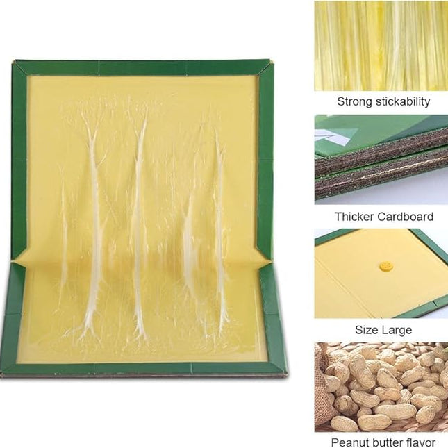 pafnisoin - kit de 4 Pièges à Souris et rats 17 x 24 cm - E-menage