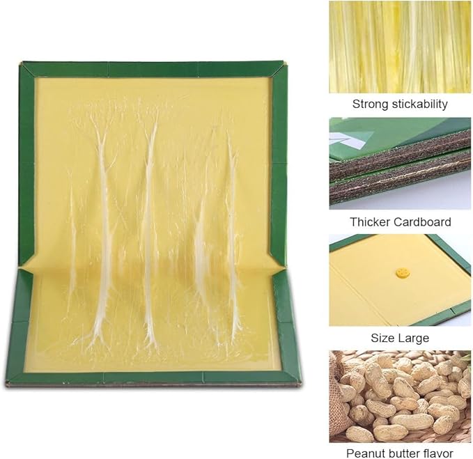 pafnisoin - kit de 4 Pièges à Souris et rats 17 x 24 cm - E-menage