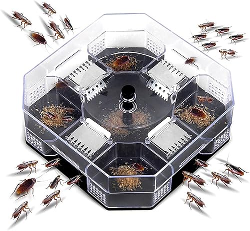 Pièges à cafards - E-menage