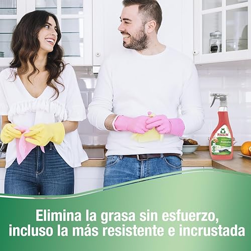 Frosch - Dégraissant écologique 500ml - E-menage