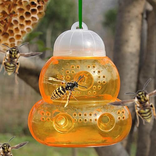 BoloShine - Lot de 2 pièges à guêpes - E-menage