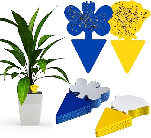 Lot de 48 pièges adhésif sans insecticide - E-menage