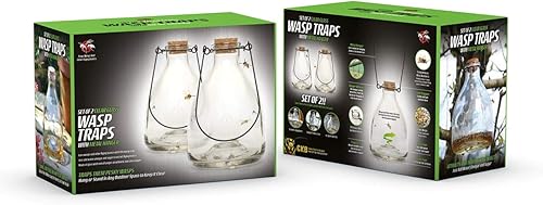 CKB LTD - Lot de 2 pièges à guêpes en verre avec cintre en métal - E-menage