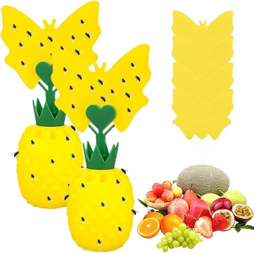 Lot de 2 pièges à mouches à fruits - E-menage