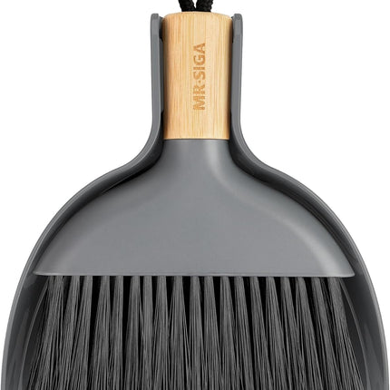 Mini Dustpan and Brush