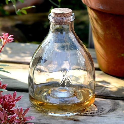 CKB LTD - Lot de 2 pièges à guêpes en verre avec cintre en métal - E-menage