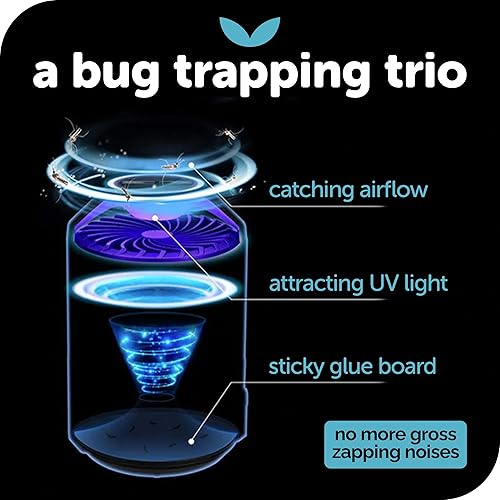 Katchy Midnight - Piège à insectes d'intérieur avec réglage automatique - E-menage