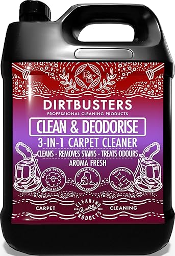 Dirtbusters - Nettoyant 3 en 1 pour tapis et tissus d'ameublement - E-menage