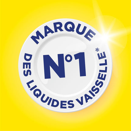 Liquide Vaisselle Paic Citron
