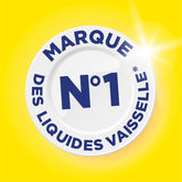 Liquide Vaisselle Paic Citron - E-menage